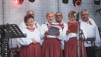 Otwarcie i zespoły GOK Narol, zdj. Michał Borowski